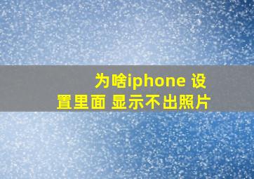 为啥iphone 设置里面 显示不出照片